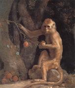 George Stubbs Monkey oil painting picture wholesale